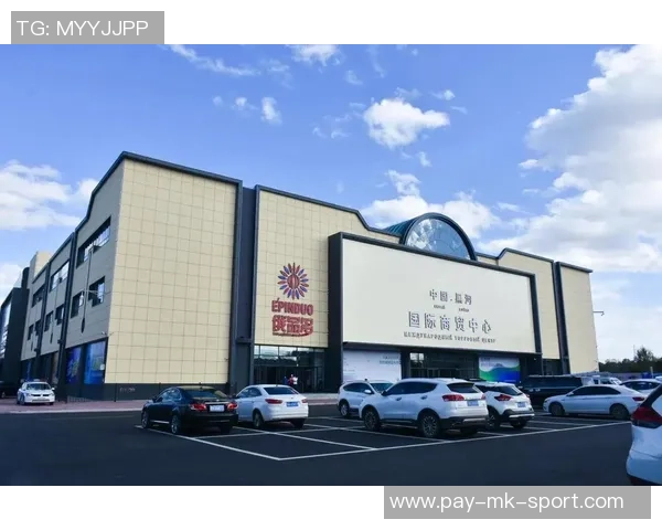 探索上海11人制足球场的魅力与发展潜力，助力城市足球文化的蓬勃兴起